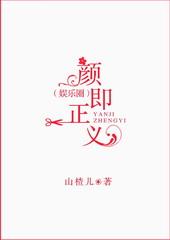 颜即正义txt下载