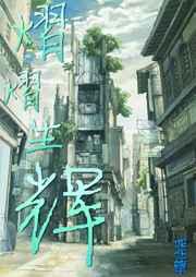 熠熠生辉txt下载