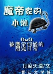 魔帝家的小懒龟